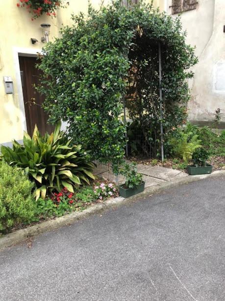Il Casale Del Miele Bed & Breakfast Fraforeano Exterior foto